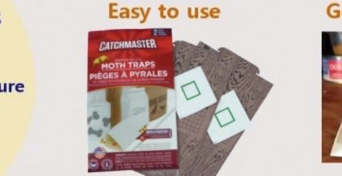 Hici Pantry Common Kitchen Moth Trap Pantry Pest Control - HICI