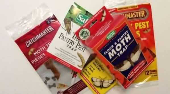 Catchmaster Pantry Pest Traps - Safer than pesticides